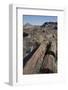 Petrified Logs from the Late Triassic Period-Richard Maschmeyer-Framed Photographic Print