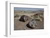 Petrified Logs from the Late Triassic Period-Richard Maschmeyer-Framed Photographic Print