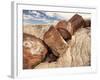 Petrified Logs-Joe McDonald-Framed Photographic Print
