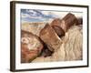 Petrified Logs-Joe McDonald-Framed Photographic Print