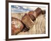 Petrified Logs-Joe McDonald-Framed Photographic Print