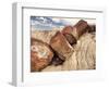 Petrified Logs-Joe McDonald-Framed Photographic Print