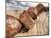 Petrified Logs-Joe McDonald-Mounted Photographic Print