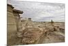 Petrified Tree Trunk in the Badlands-James Hager-Mounted Photographic Print