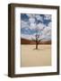 Petrified Tree-Karen Dahdah-Framed Photographic Print