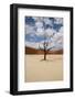 Petrified Tree-Karen Dahdah-Framed Photographic Print