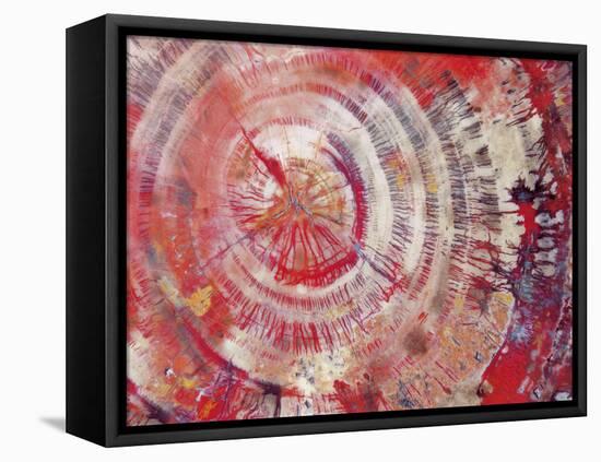 Petrified Wood, Close-Up-moodboard-Framed Stretched Canvas