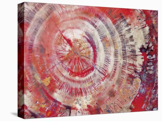 Petrified Wood, Close-Up-moodboard-Stretched Canvas