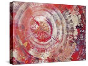 Petrified Wood, Close-Up-moodboard-Stretched Canvas