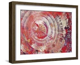 Petrified Wood, Close-Up-moodboard-Framed Photographic Print