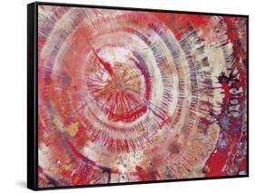 Petrified Wood, Close-Up-moodboard-Framed Stretched Canvas