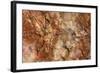 Petrified Wood in Crystal Forest, Petrified Forest NP, Arizona-Rob Sheppard-Framed Photographic Print