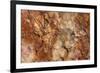 Petrified Wood in Crystal Forest, Petrified Forest NP, Arizona-Rob Sheppard-Framed Photographic Print