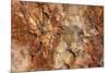 Petrified Wood in Crystal Forest, Petrified Forest NP, Arizona-Rob Sheppard-Mounted Photographic Print