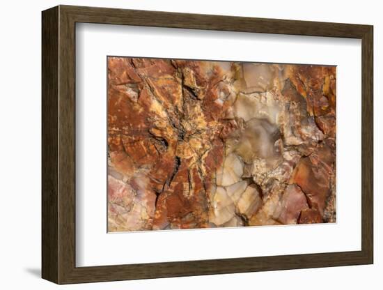 Petrified Wood in Crystal Forest, Petrified Forest NP, Arizona-Rob Sheppard-Framed Photographic Print