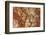 Petrified Wood in Crystal Forest, Petrified Forest NP, Arizona-Rob Sheppard-Framed Photographic Print