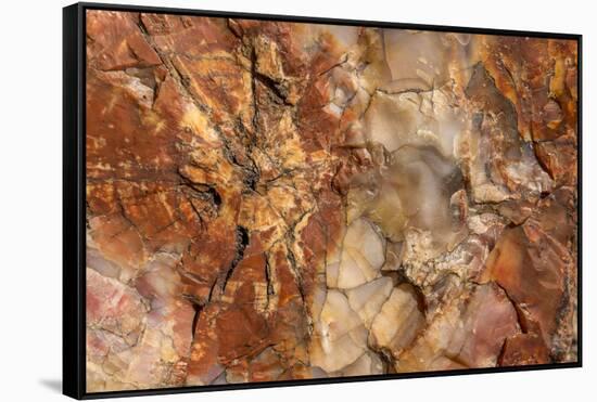 Petrified Wood in Crystal Forest, Petrified Forest NP, Arizona-Rob Sheppard-Framed Stretched Canvas