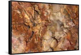 Petrified Wood in Crystal Forest, Petrified Forest NP, Arizona-Rob Sheppard-Framed Stretched Canvas