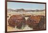 Petrified Wood in Desert-null-Framed Art Print