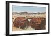 Petrified Wood in Desert-null-Framed Art Print