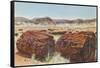 Petrified Wood in Desert-null-Framed Stretched Canvas