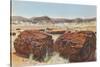 Petrified Wood in Desert-null-Stretched Canvas