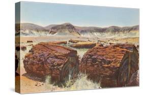 Petrified Wood in Desert-null-Stretched Canvas