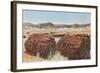 Petrified Wood in Desert-null-Framed Art Print