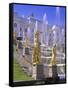Petrodvorets (Peterhof) (Summer Palace), Near St. Petersburg, Russia, Europe-Gavin Hellier-Framed Stretched Canvas