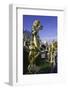 Petrodvorets (Peterhof) (Summer Palace), Near St. Petersburg, Russia-Gavin Hellier-Framed Photographic Print