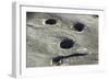 Petroglyph and Bedrock Mortar Holes, or Chaw’se, Used by Miwok to Grind Acorns and Seeds, CA-null-Framed Photographic Print