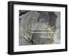 Petroglyph, Boat-Axe culture, pre-Viking, Bohuslan, Sweden, Bronze Age-Werner Forman-Framed Photographic Print