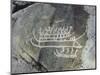 Petroglyph, Boat-Axe culture, pre-Viking, Bohuslan, Sweden, Bronze Age-Werner Forman-Mounted Photographic Print