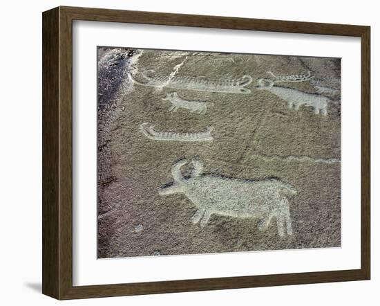 Petroglyph, Boat-Axe culture, pre-Viking, Bohuslan, Sweden, Bronze Age-Werner Forman-Framed Photographic Print