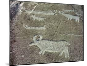 Petroglyph, Boat-Axe culture, pre-Viking, Bohuslan, Sweden, Bronze Age-Werner Forman-Mounted Photographic Print