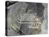 Petroglyph, Boat-Axe culture, pre-Viking, Bohuslan, Sweden, Bronze Age-Werner Forman-Stretched Canvas