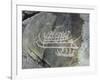 Petroglyph, Boat-Axe culture, pre-Viking, Bohuslan, Sweden, Bronze Age-Werner Forman-Framed Photographic Print