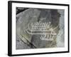 Petroglyph, Boat-Axe culture, pre-Viking, Bohuslan, Sweden, Bronze Age-Werner Forman-Framed Photographic Print