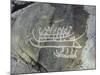 Petroglyph, Boat-Axe culture, pre-Viking, Bohuslan, Sweden, Bronze Age-Werner Forman-Mounted Photographic Print