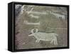 Petroglyph, Boat-Axe culture, pre-Viking, Bohuslan, Sweden, Bronze Age-Werner Forman-Framed Stretched Canvas