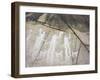 Petroglyph, Boat-Axe culture, pre-Viking, Bohuslan, Sweden, Bronze Age-Werner Forman-Framed Photographic Print