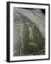 Petroglyph, Boat-Axe culture, pre-Viking, Bohuslan, Sweden, Bronze Age-Werner Forman-Framed Photographic Print