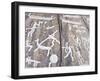 Petroglyph, Boat-Axe culture, pre-Viking, Bohuslan, Sweden, Bronze Age-Werner Forman-Framed Premium Photographic Print