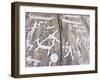 Petroglyph, Boat-Axe culture, pre-Viking, Bohuslan, Sweden, Bronze Age-Werner Forman-Framed Photographic Print