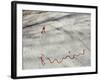 Petroglyph, Boat-Axe culture, pre-Viking, Vitlycke, Bohuslan, Sweden, Bronze Age-Werner Forman-Framed Photographic Print