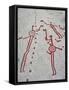 Petroglyph, Boat-Axe culture, pre-Viking, Vitlycke, Bohuslan, Sweden, Bronze Age-Werner Forman-Framed Stretched Canvas