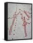 Petroglyph, Boat-Axe culture, pre-Viking, Vitlycke, Bohuslan, Sweden, Bronze Age-Werner Forman-Framed Stretched Canvas