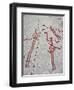 Petroglyph, Boat-Axe culture, pre-Viking, Vitlycke, Bohuslan, Sweden, Bronze Age-Werner Forman-Framed Photographic Print