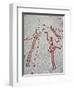 Petroglyph, Boat-Axe culture, pre-Viking, Vitlycke, Bohuslan, Sweden, Bronze Age-Werner Forman-Framed Photographic Print