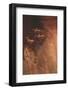 Petroglyph, Canyon De Chelly National Monument, Arizona, USA-Michel Hersen-Framed Photographic Print